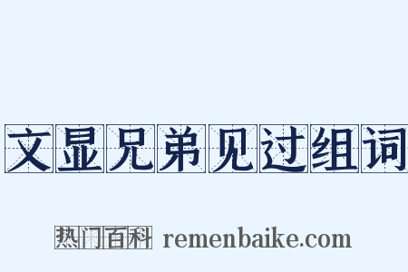 文显兄弟见过组词是什么意思的图片